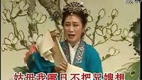 吕剧奇婚记 《中》