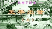 皖南花鼓戏《王华出世》《全本》