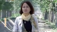 百家碎戏《憨娃的美好婚姻》陕西方言