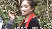 云南山歌剧色狼金钱与美女01