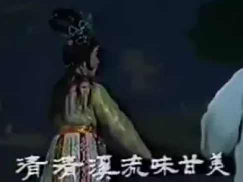 越剧《含羞草》杨文蔚 周雅琴