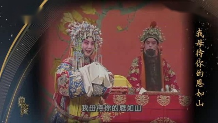 京剧《大登殿》李维康 耿其昌 杨春霞 王晶华中国京剧院演出[典藏]1996