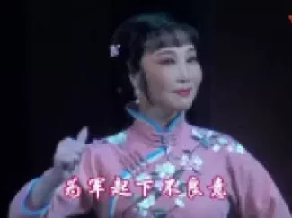 河北梆子《大青衣》上集_许荷英_字幕_2018_12_6