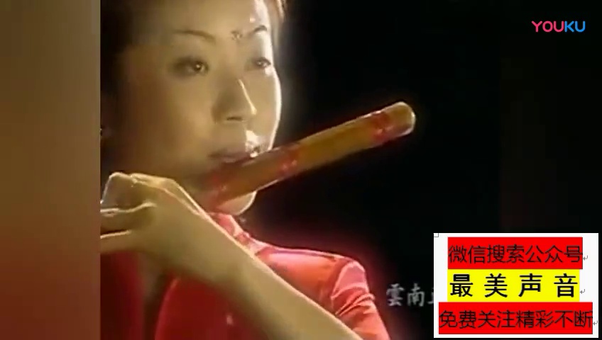 笛子名曲《谁不说俺家乡好》人美曲美 经典传唱